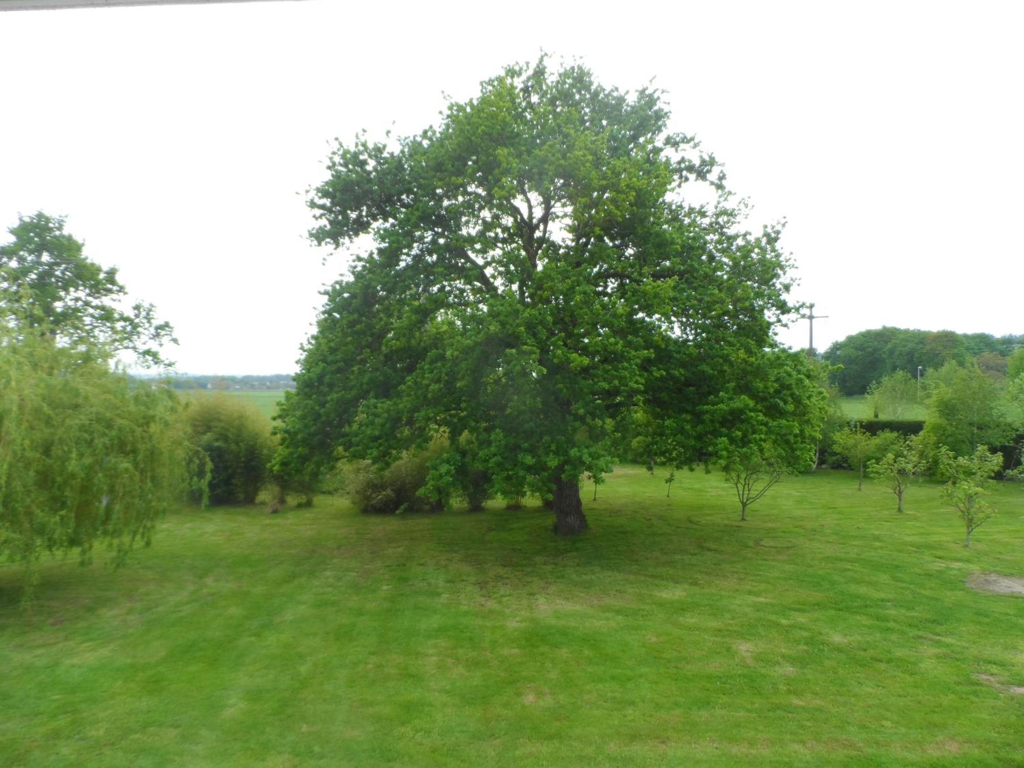 Cafecouet'Breizh Bed & Breakfast Guipry-Messac Rom bilde